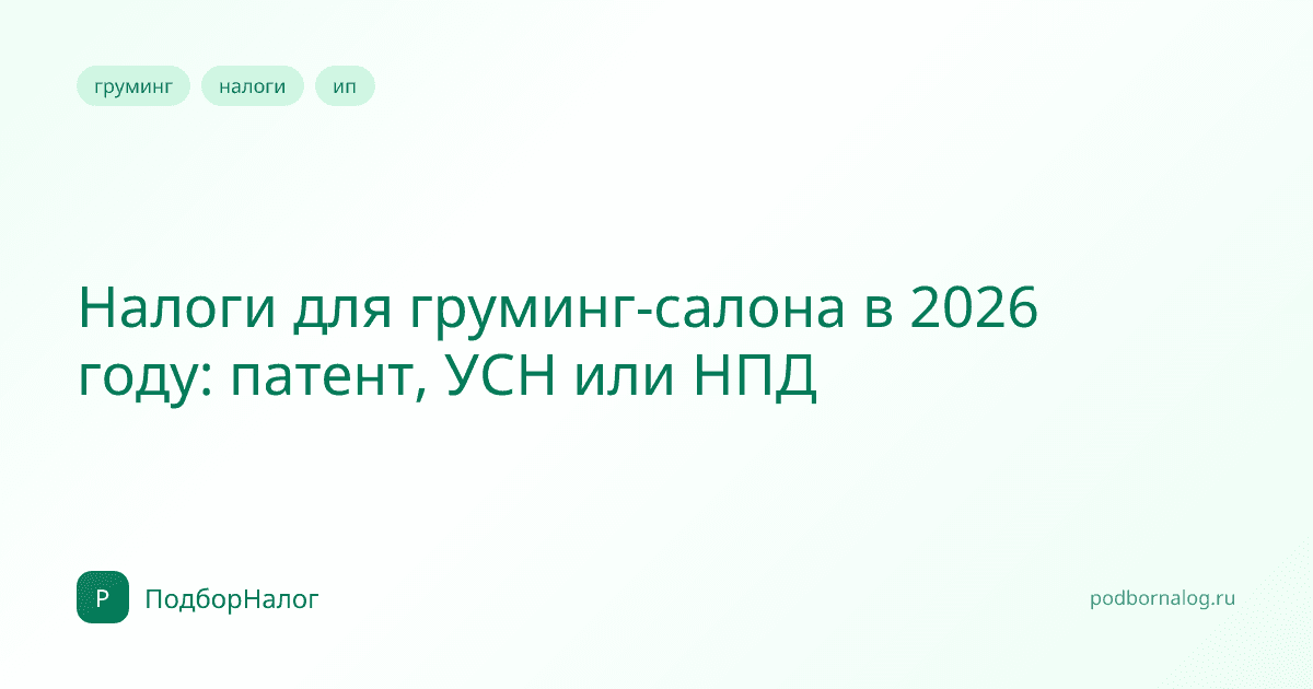 Налоги для груминг-салона в 2026 году: патент, УСН или НПД