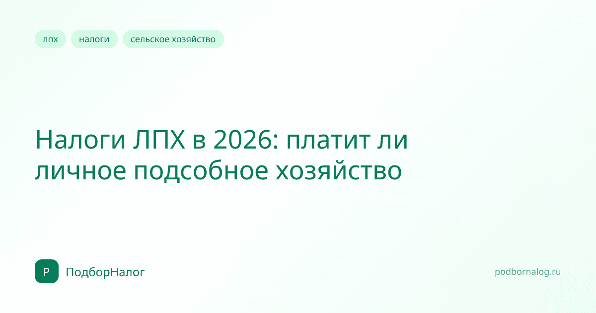 Налоги ЛПХ в 2026: платит ли личное подсобное хозяйство