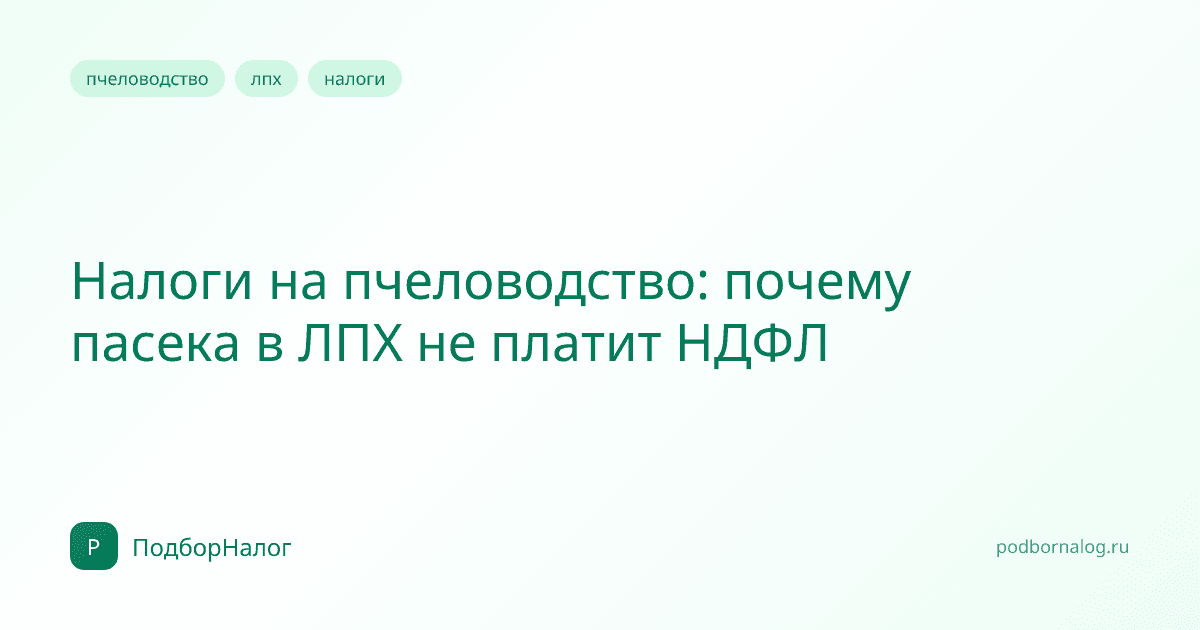 Налоги на пчеловодство: почему пасека в ЛПХ не платит НДФЛ