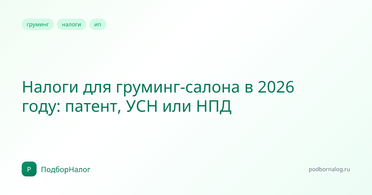 Налоги для груминг-салона в 2026 году: патент, УСН или НПД