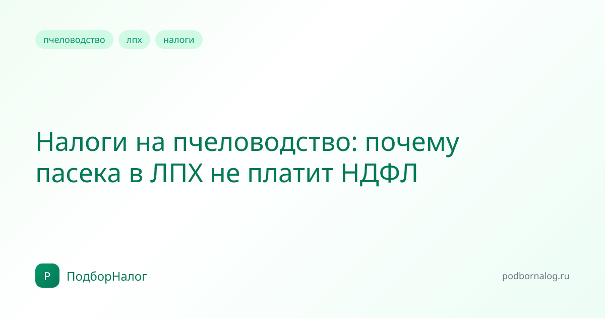 Налоги на пчеловодство: почему пасека в ЛПХ не платит НДФЛ